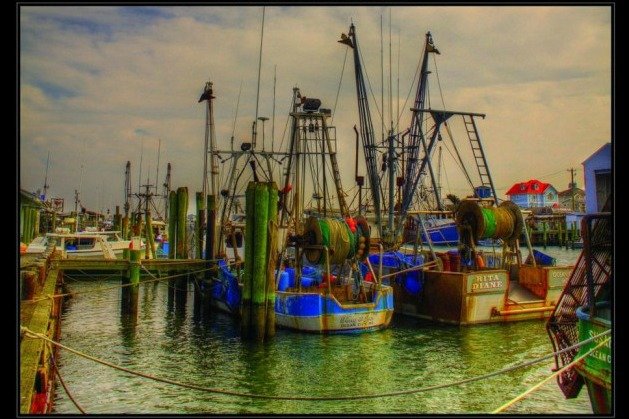 Harbor_Day_at_the_Docks_Ocean_City2-670x487 Harbor_Day_at_the_Docks_Ocean_City2-670x487