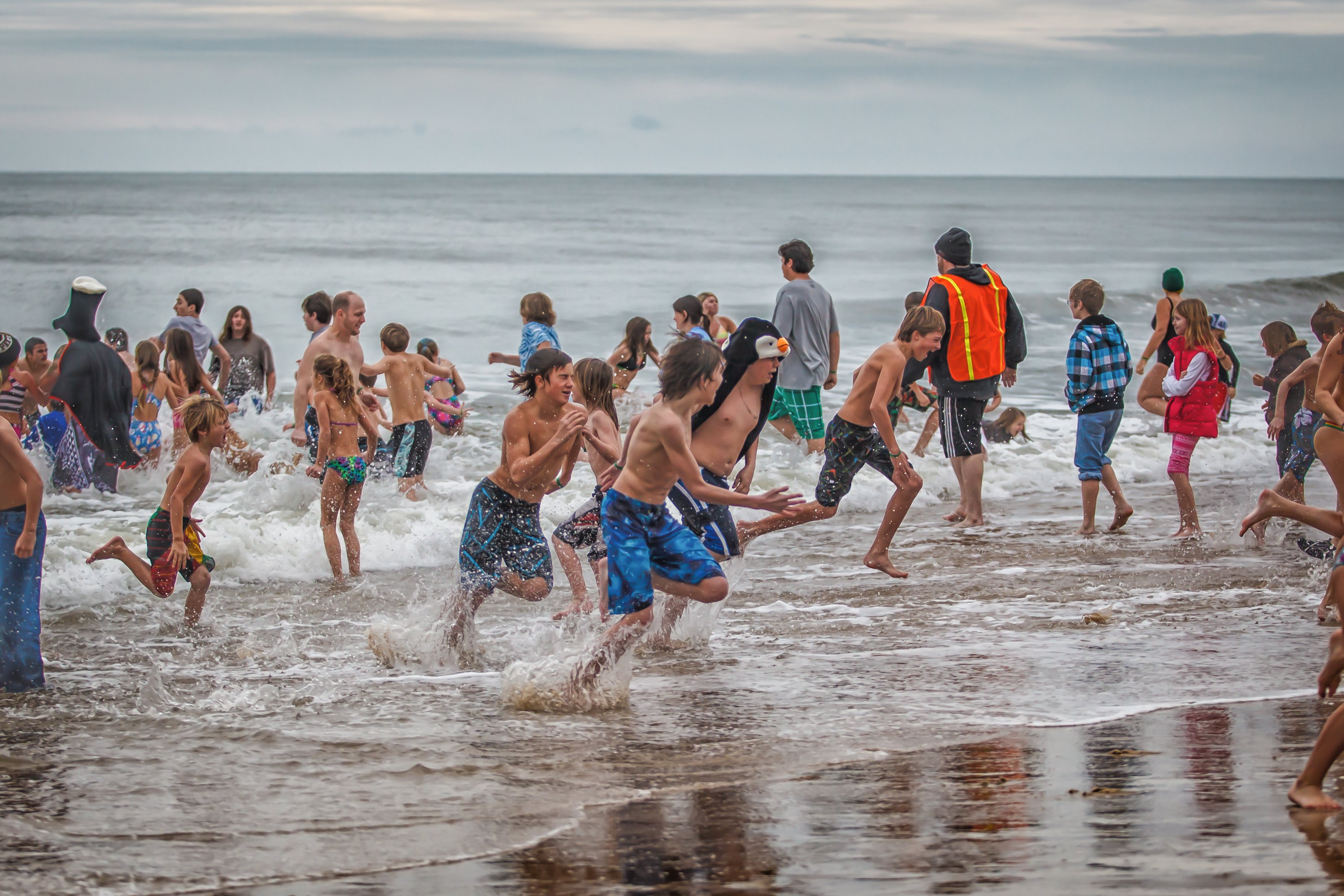 Penguin Swim 2013